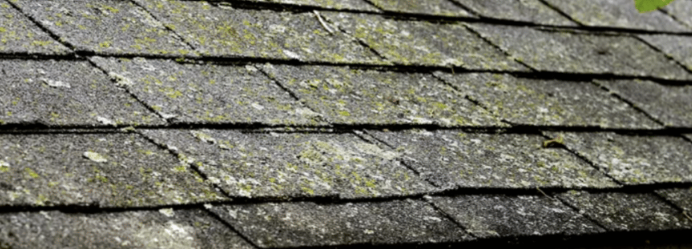 Roof moss growth damage on New England home shingles in Rhode Island